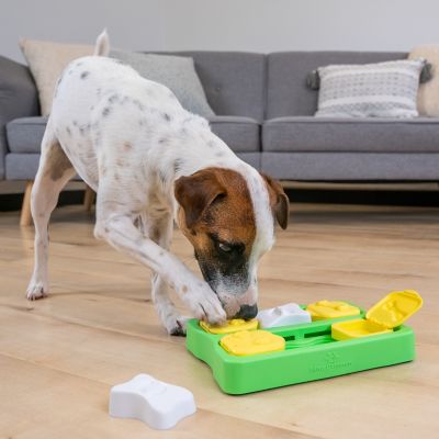 Image showing  Brick Dog Training Toy