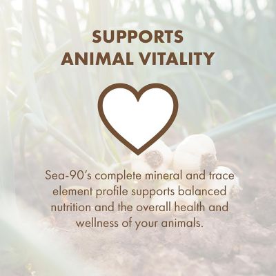 Image showing  Premium Mineral Salt with Garlic for Livestock and Equine, 25 lb.