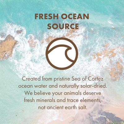 Image showing 5 th SEA-90 Essential Elements Premium Mineral Salt with Garlic for Livestock and Equine, 25 lb.