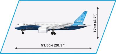 Image showing  Boeing 787-8 DREAMLINER Plane