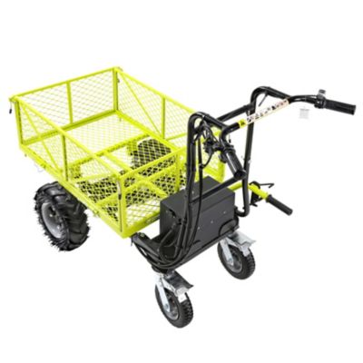 Image showing  4-Wheel Electric Cart