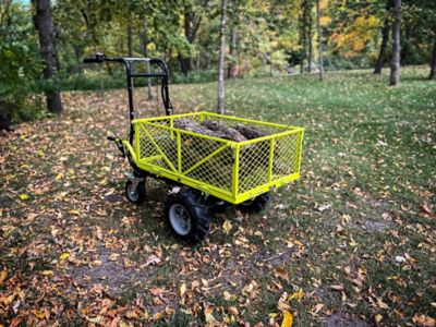 Image showing  4-Wheel Electric Cart