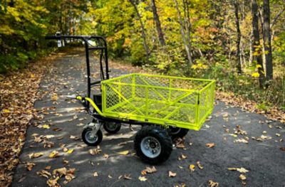 Image showing  4-Wheel Electric Cart