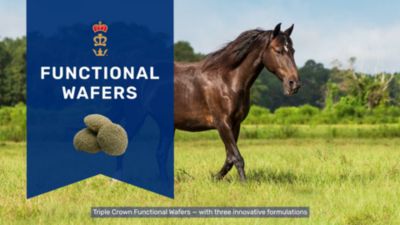 Image showing  Horse Coat Functional Wafers, 5 lb.