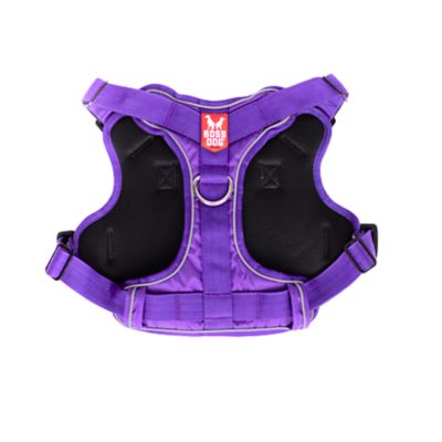 Product TrademarkColor1