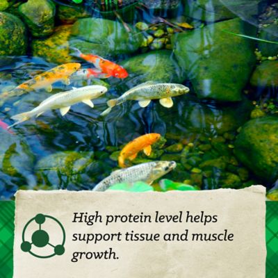 Image showing  Koi Fish Feed, 20 lb. Bag