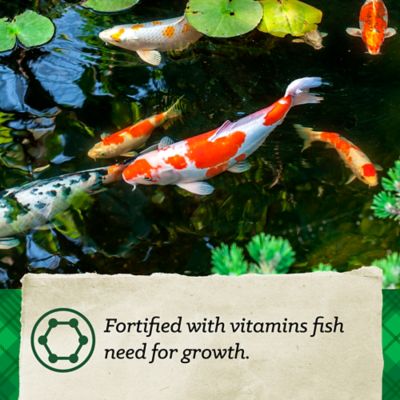 Image showing  Koi Fish Feed, 20 lb. Bag