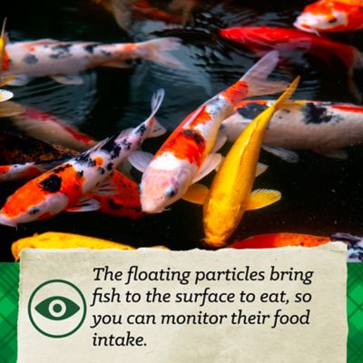 Image showing  Koi Fish Feed, 20 lb. Bag