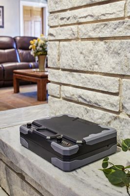 Image showing 7 th Hornady 2 Gun Combo Lock TrekLite LockBox, XXL