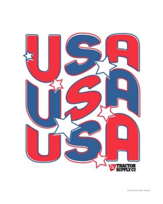 Image showing  Toddler Boys' USA Graphic T-Shirt