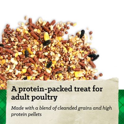 Image showing  Hi Pro Scratch Poultry Grains