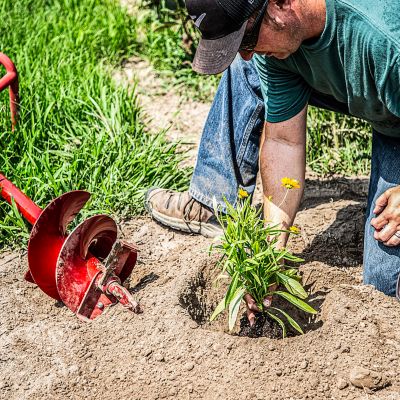 Image showing  Rapid Fire 1 Gal. Planting Auger Bit