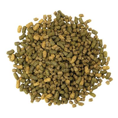 Image showing  Sentinel Performance LS Horse Feed, 50 lb. Bag