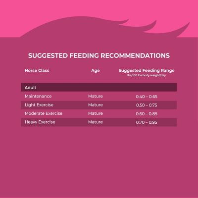 Image showing 6 th Kent Blue Seal Inspire Rider Textured Horse Feed, 50 lb. Bag