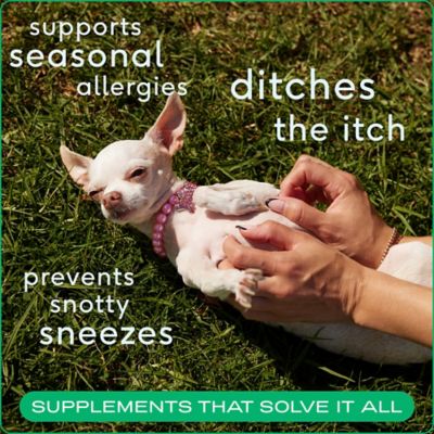Image showing  Allergy Chews for Dogs, 60 ct.