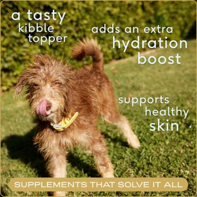 Image showing  Beef Bone Broth Powder for Dogs, 4.75 oz.