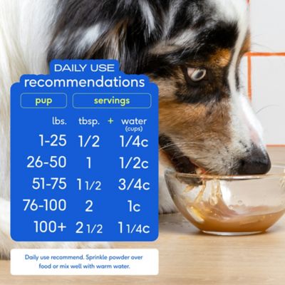 Image showing 5 th Native Pet Beef Bone Broth Powder for Dogs, 4.75 oz.