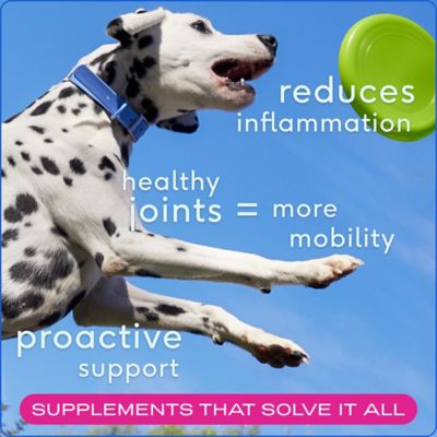 Image showing  Hip and Joint Chewable Supplements for Dogs, 60 ct.