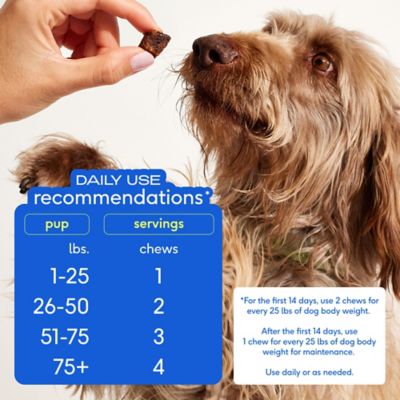 Image showing  Hip and Joint Chewable Supplements for Dogs, 60 ct.