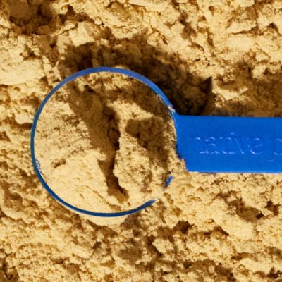 Image showing 8 th Native Pet Probiotic Powder Digestive Supplement for Dogs, 8.2 oz.