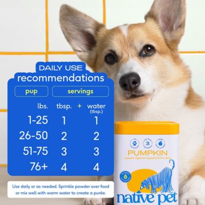 Image showing 5 th Native Pet Organic Powder Digestive Supplement for Dogs, Pumpkin Flavor, 8 oz.