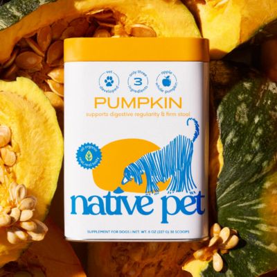 Image showing 7 th Native Pet Organic Powder Digestive Supplement for Dogs, Pumpkin Flavor, 8 oz.