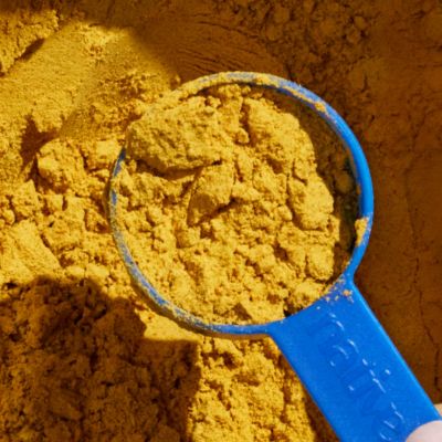 Image showing 8 th Native Pet Organic Powder Digestive Supplement for Dogs, Pumpkin Flavor, 8 oz.