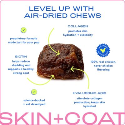 Image showing  Skin and Coat Chewable Supplement for Dogs, 60 ct.