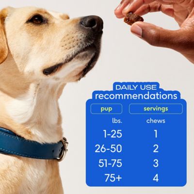 Image showing 6 th Native Pet Skin and Coat Chewable Supplement for Dogs, 60 ct.
