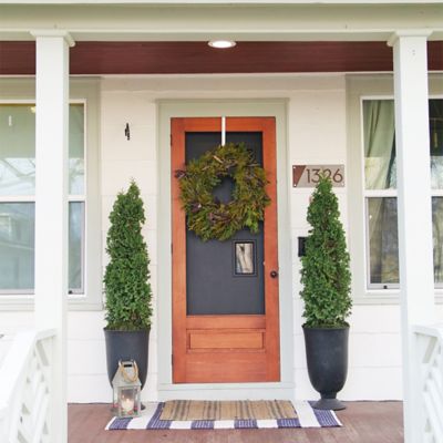 Image showing  2 gal. Potted Arborvitae Sting Evergreen Shrub