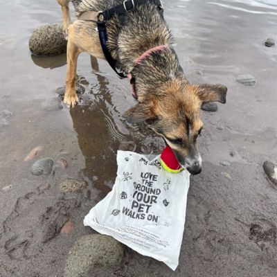 Image showing 6 th MyEcoWorld Pet Poop Bags, 6 Boxes of 1 Roll - 200 Bags a Roll/1200 ct.