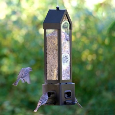 Image showing  Square Lantern Bird Feeder, 3.1 qt. Capacity