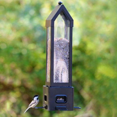 Image showing  Square Lantern Bird Feeder, 3.1 qt. Capacity