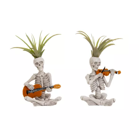 LiveTrends Bone Band Halloween Decoration Succulents & House Plants