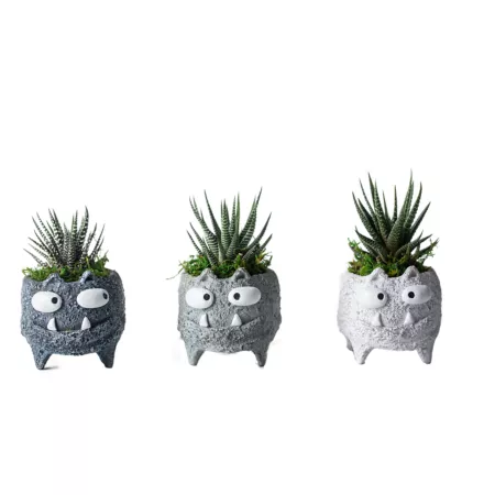 LiveTrends Monster Cat Halloween Decoration Succulents & House Plants