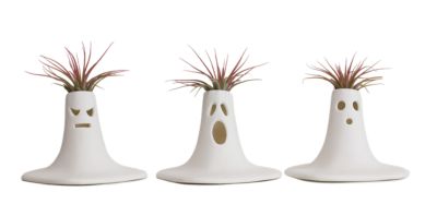 Living Seasons The Scream Halloween Decoration