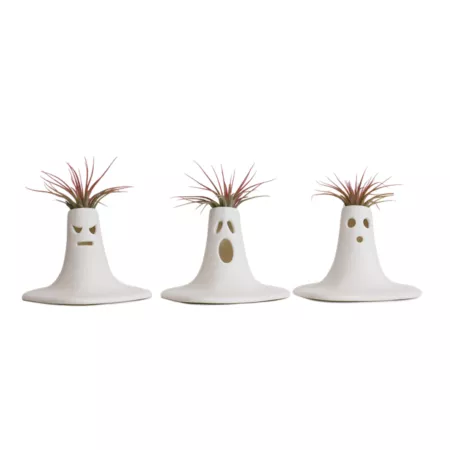 LiveTrends The Scream Halloween Decoration Succulents & House Plants