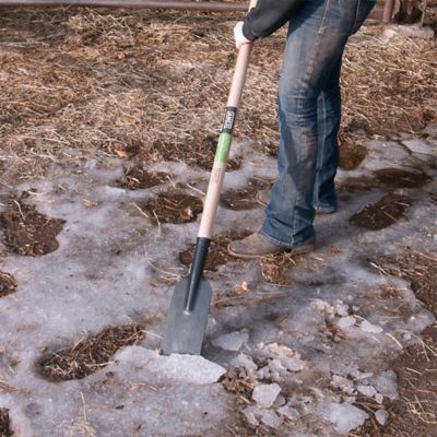 Image showing  4 in. Ice Scraper/Chopper