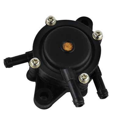 Image showing  Air Filter Spark Plug Fuel Pump Pack with Briggs & Stratton 493909 496894 808656 RJ19LM