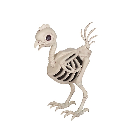 Red Shed 28 in. Halloween Hen Skeleton