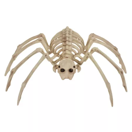 Red Shed 5.25 in Spider Skeleton Halloween Decoration Halloween Statues