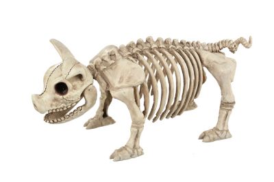 Red Shed 6.5 in. Pig Standing Skeleton Halloween Decoration