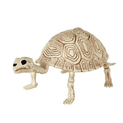 Red Shed 5.5 in. Turtle Skeleton Halloween Decoration