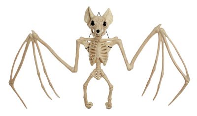 Red Shed 14.5 in. Large Bat Skeleton Halloween Decoration