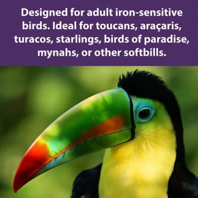 Image showing  Softbill Food for Iron-Sensitive Birds, 2 lb. Bag