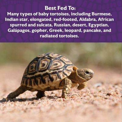 Image showing  Small Tortoise LS Low Starch Food, 8 oz. Bag