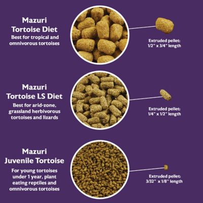 Image showing 6 th Mazuri Small Tortoise LS Low Starch Food, 8 oz. Bag