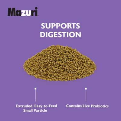 Image showing  Herbivorous Reptile Food