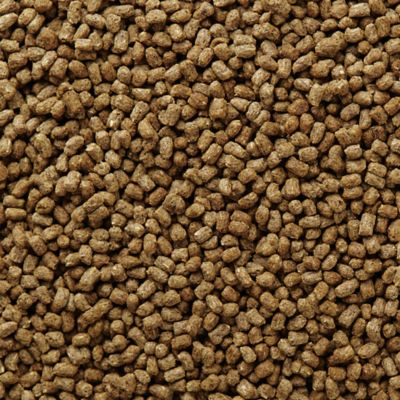 Image showing 5 th Mazuri Herbivorous Reptile Food