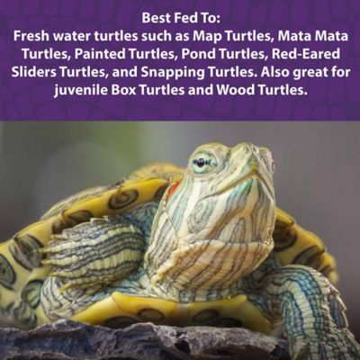 Image showing  Aquatic Turtle Gel Food, 8 oz. Bag